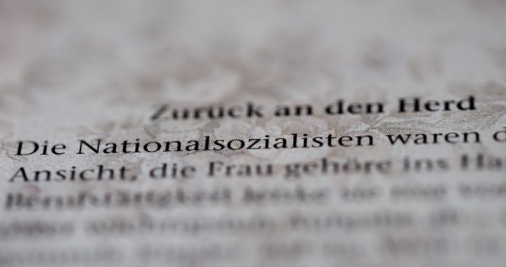 Themenheft Geschichte – Mitmischen Weimarer Republik/Nationalsozialismus